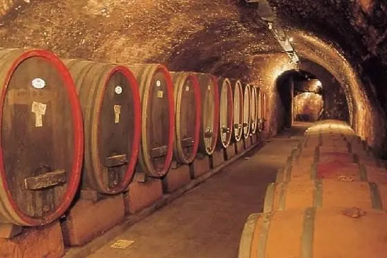 Hotel Schloss Reinhartshausen Eltville am Rhein